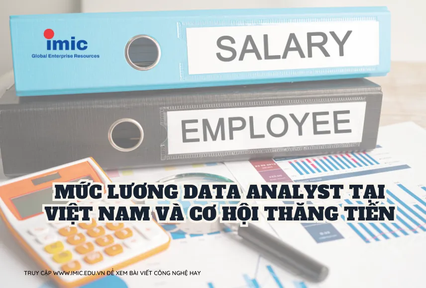 Mức lương Data Analyst tại Việt Nam và cơ hội thăng tiến