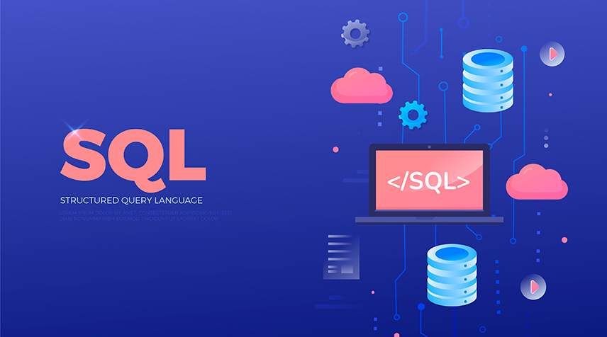 Học SQL Database cùng chuyên gia IMIC